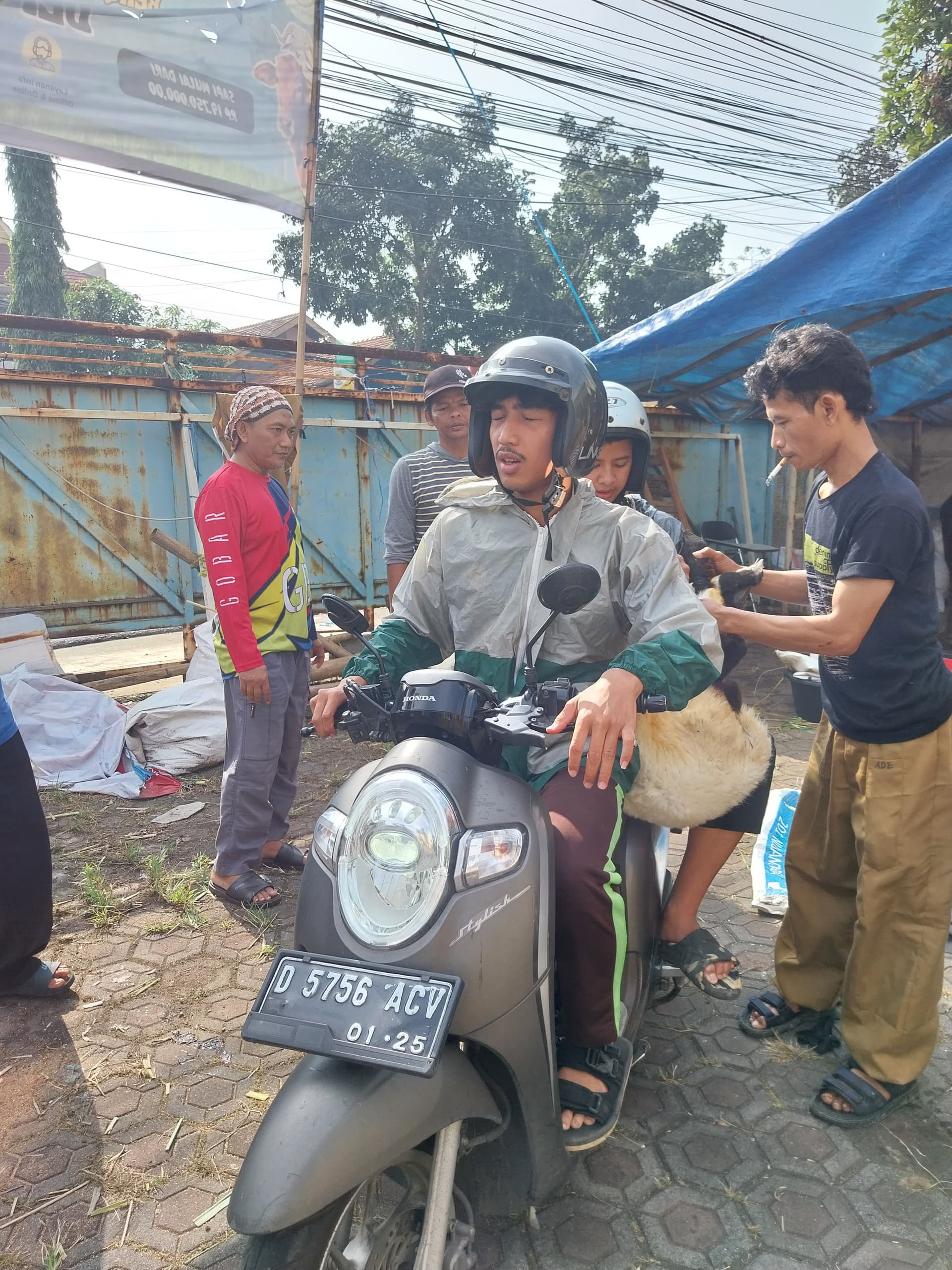 Program penyaluran qurban